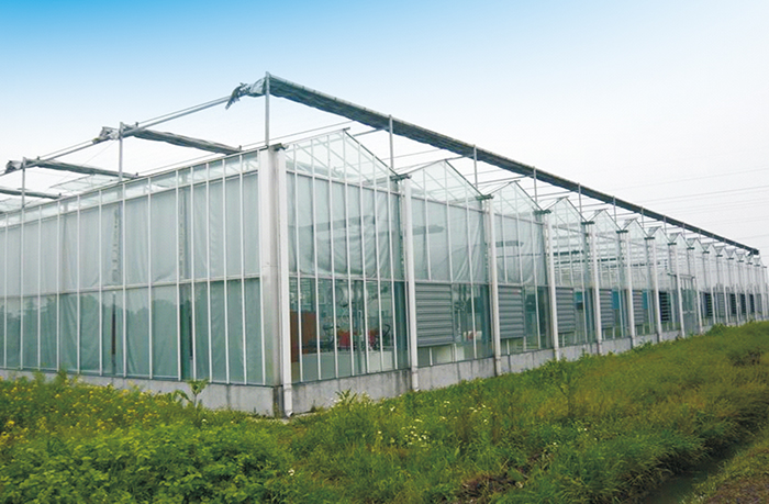 �ӱ���������ũ�����޹�˾Ԫ�����߲˻��ع���